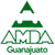 logo AMDA
